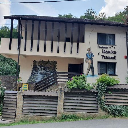 Pensiunea Iasmina Si Pescarul Calimanesti Luaran gambar